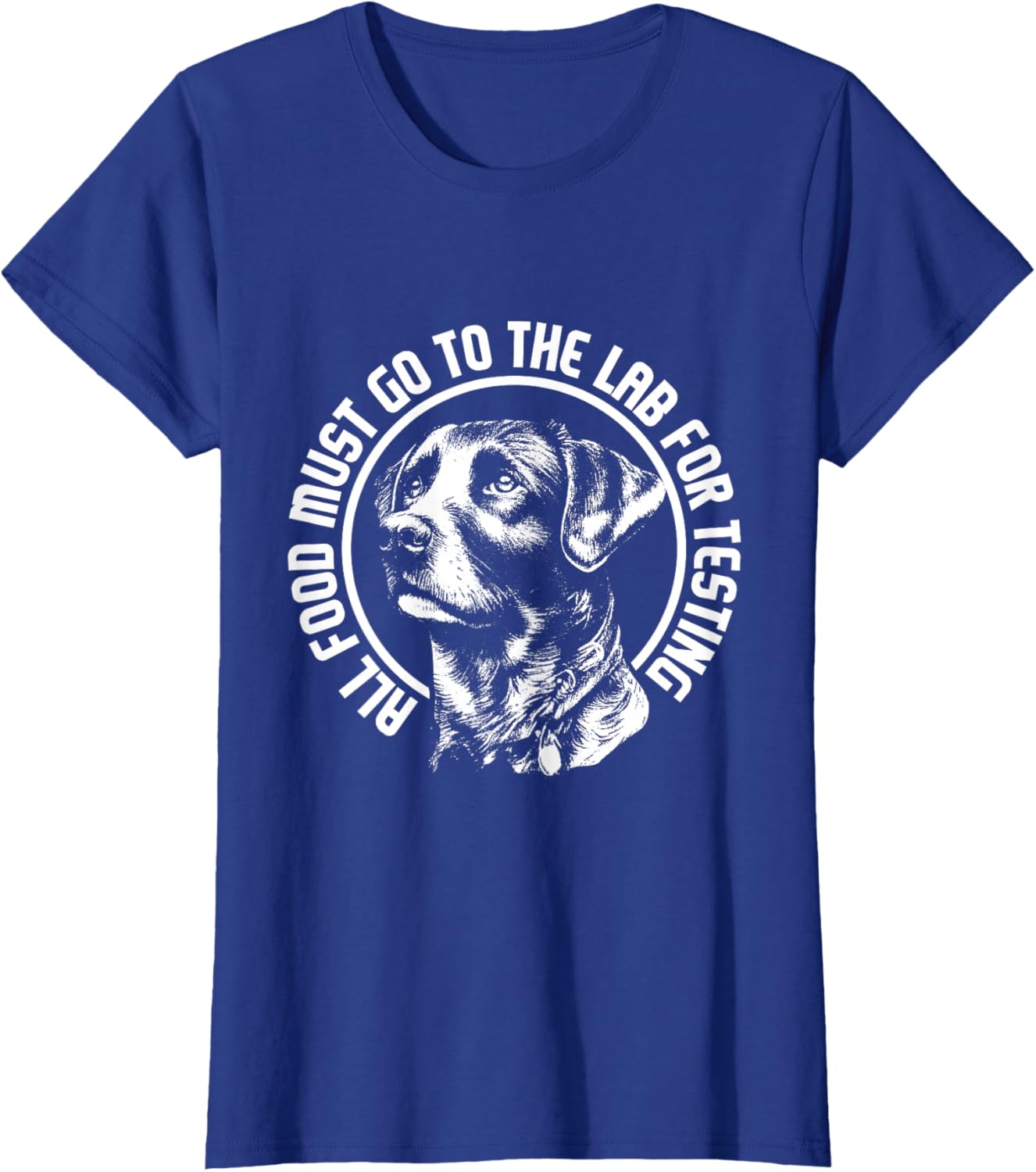 Celebrate Diversity - Labrador Owner Dog Lover Pet Lover T-Shirt