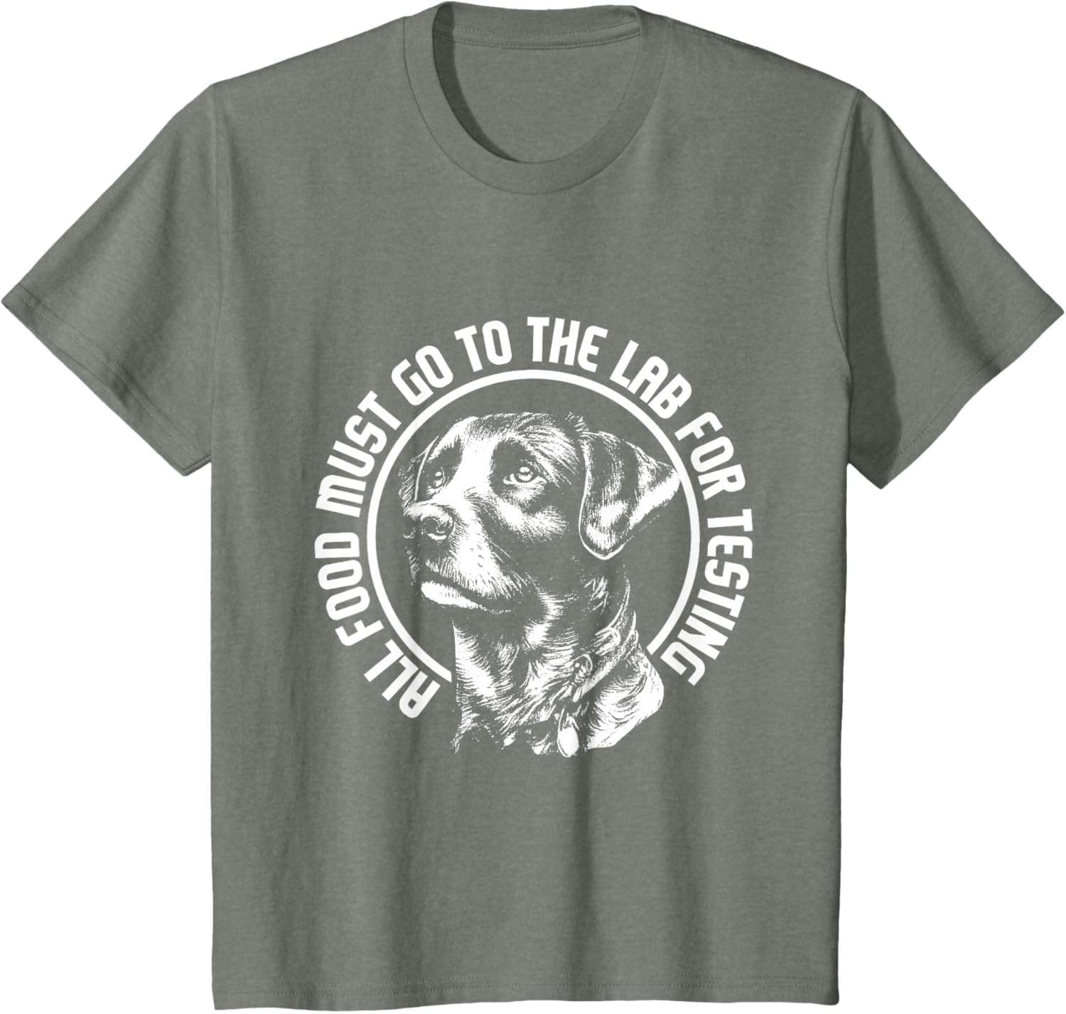 Celebrate Diversity - Labrador Owner Dog Lover Pet Lover T-Shirt