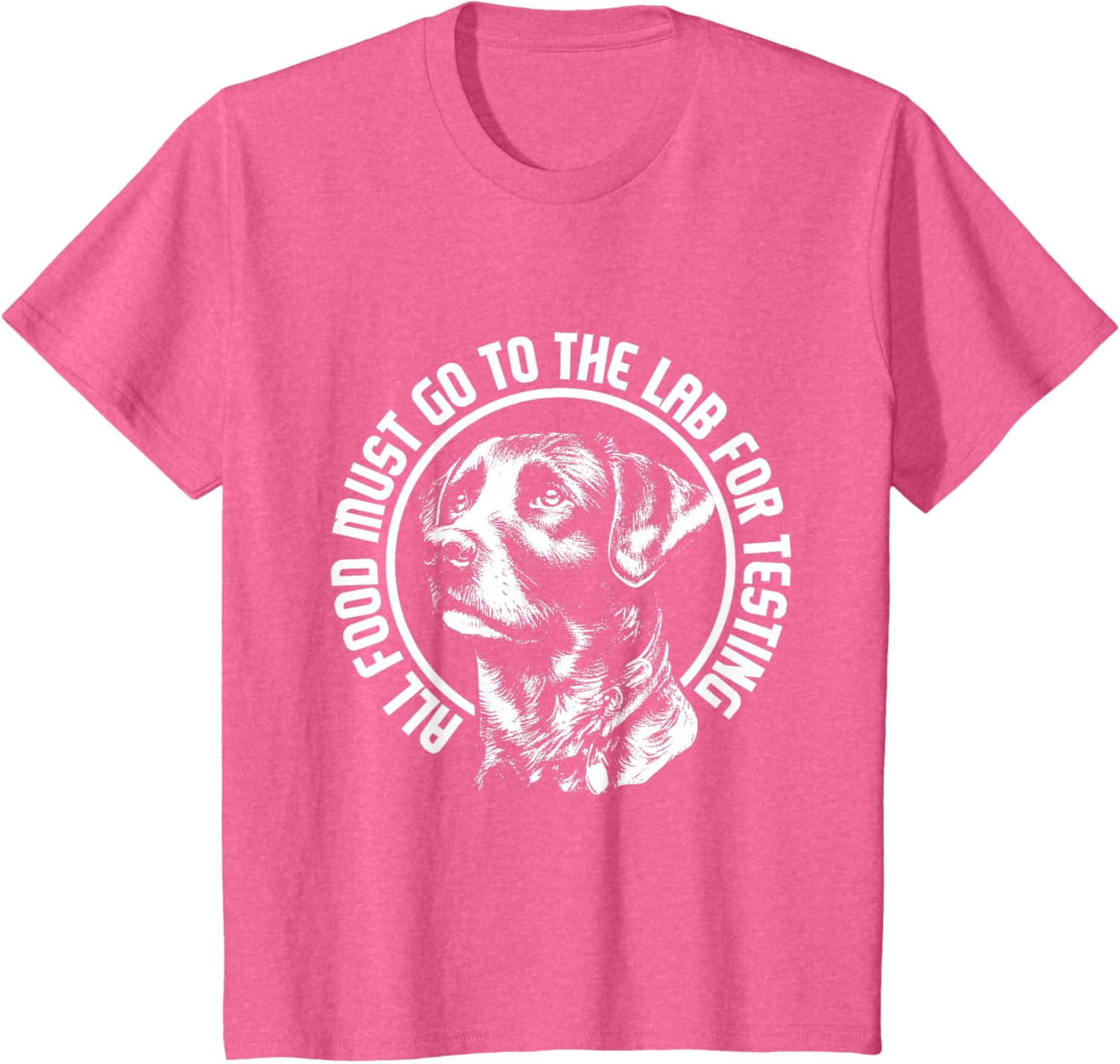 Celebrate Diversity - Labrador Owner Dog Lover Pet Lover T-Shirt