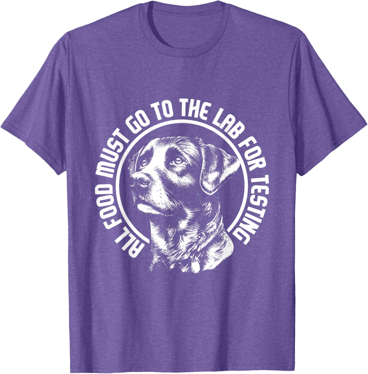Celebrate Diversity - Labrador Owner Dog Lover Pet Lover T-Shirt