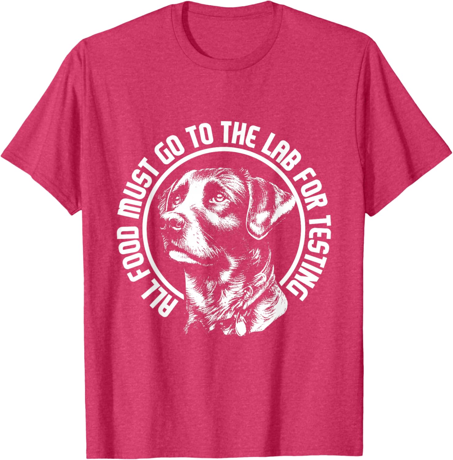 Celebrate Diversity - Labrador Owner Dog Lover Pet Lover T-Shirt