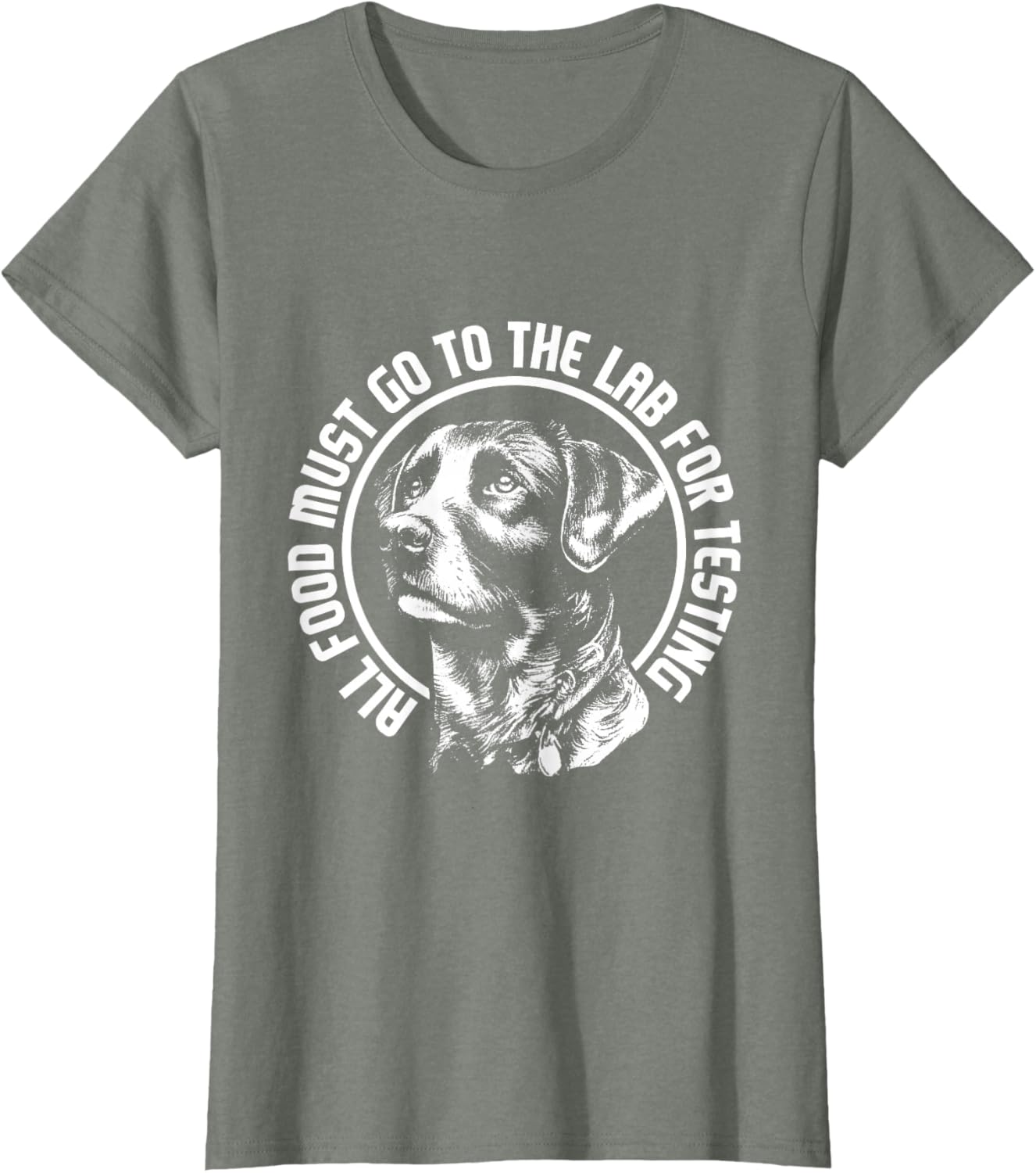 Celebrate Diversity - Labrador Owner Dog Lover Pet Lover T-Shirt