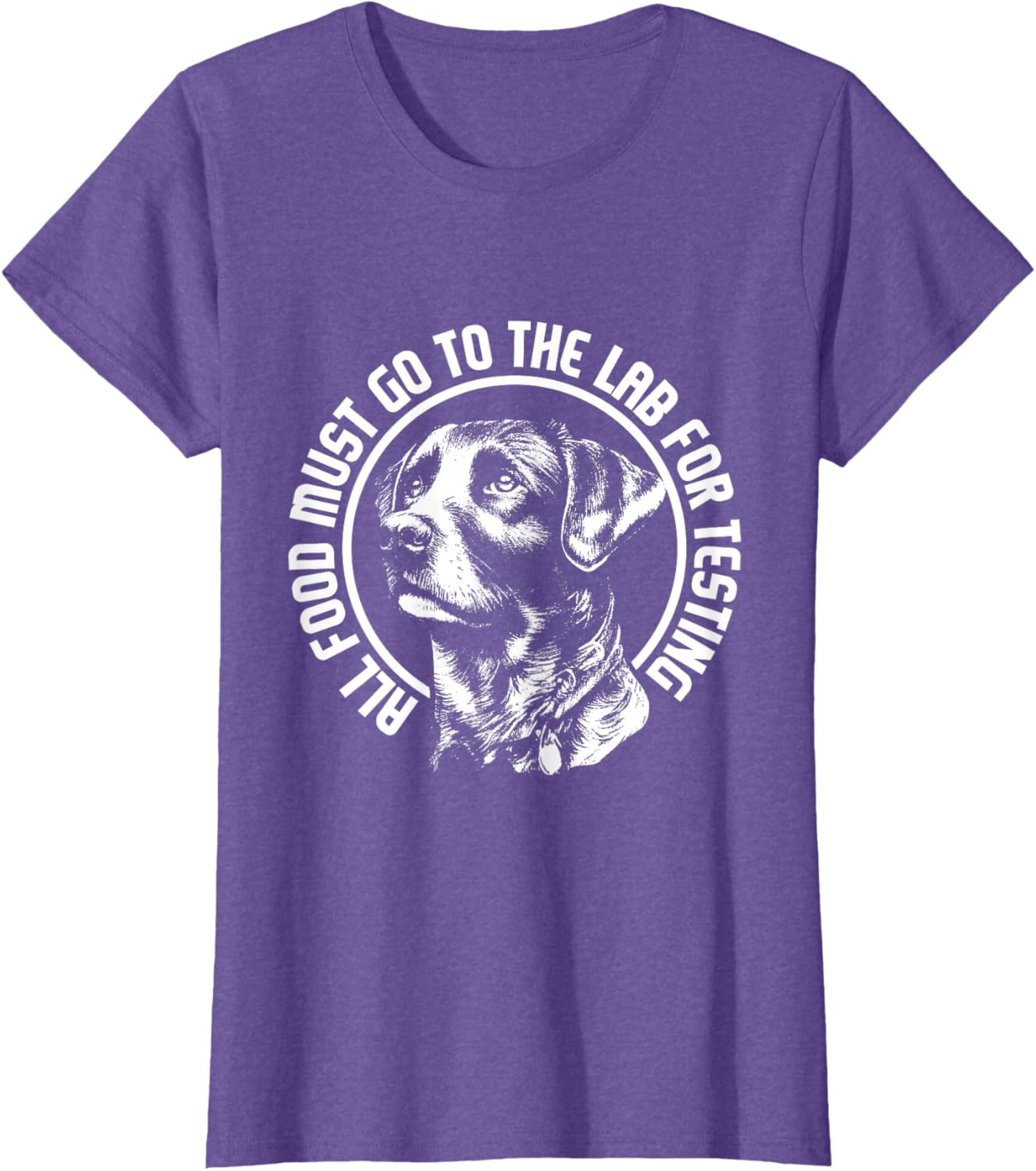 Celebrate Diversity - Labrador Owner Dog Lover Pet Lover T-Shirt