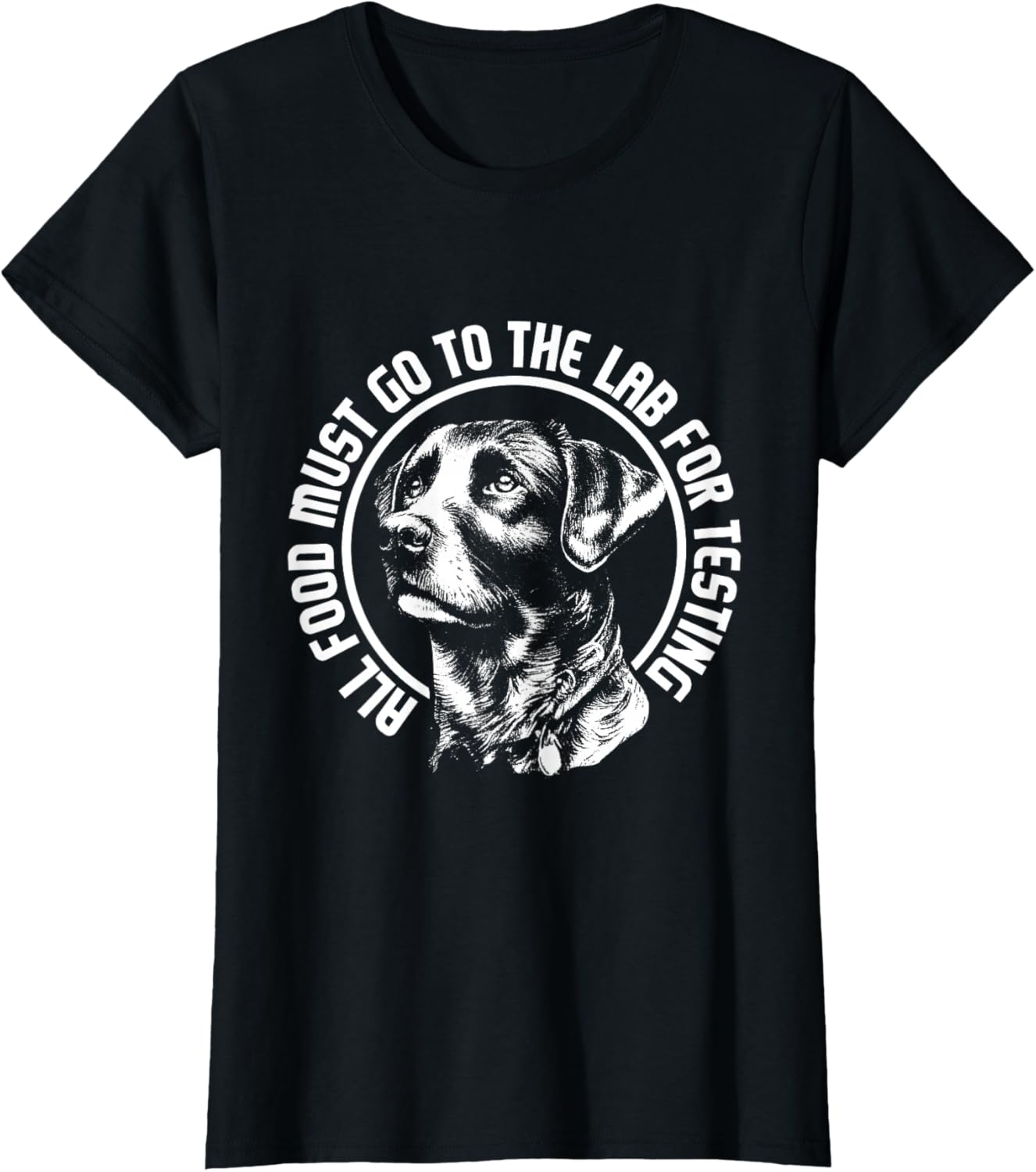 Celebrate Diversity - Labrador Owner Dog Lover Pet Lover T-Shirt