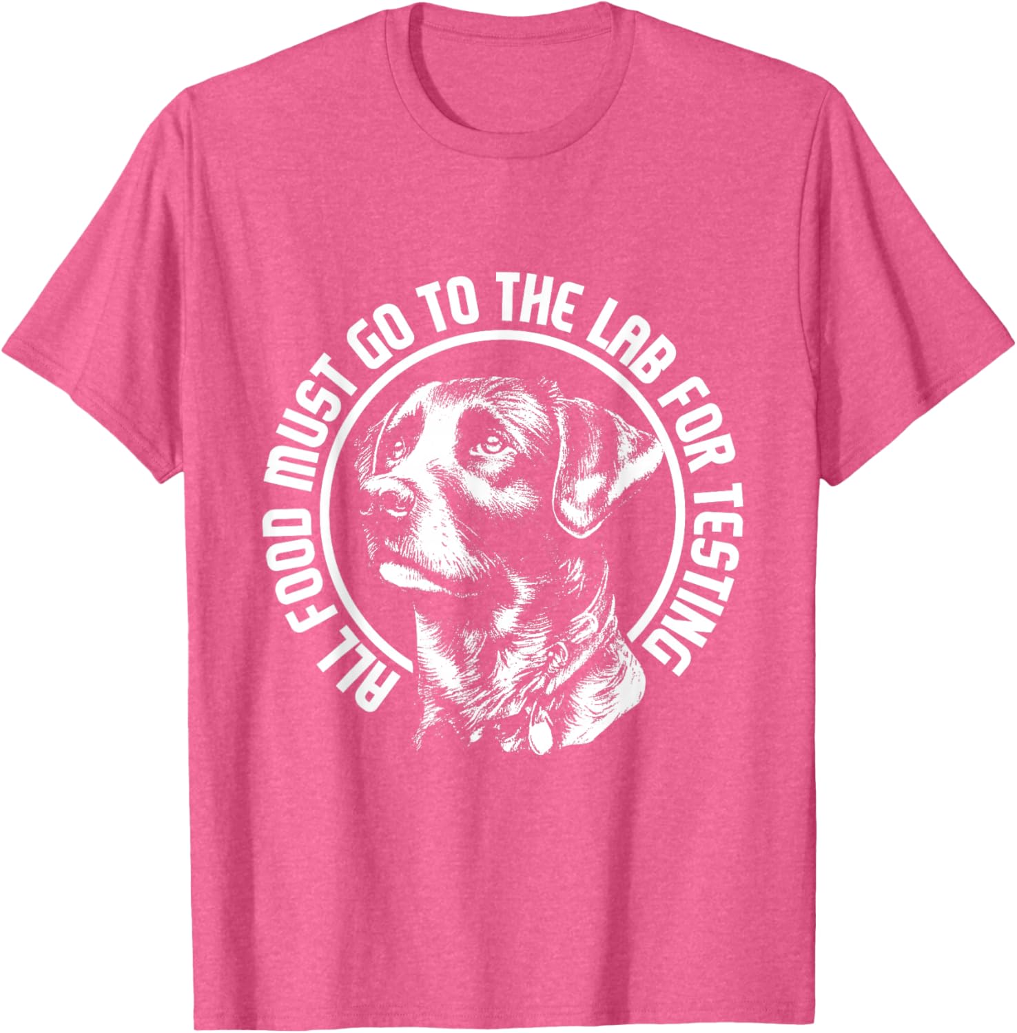 Celebrate Diversity - Labrador Owner Dog Lover Pet Lover T-Shirt