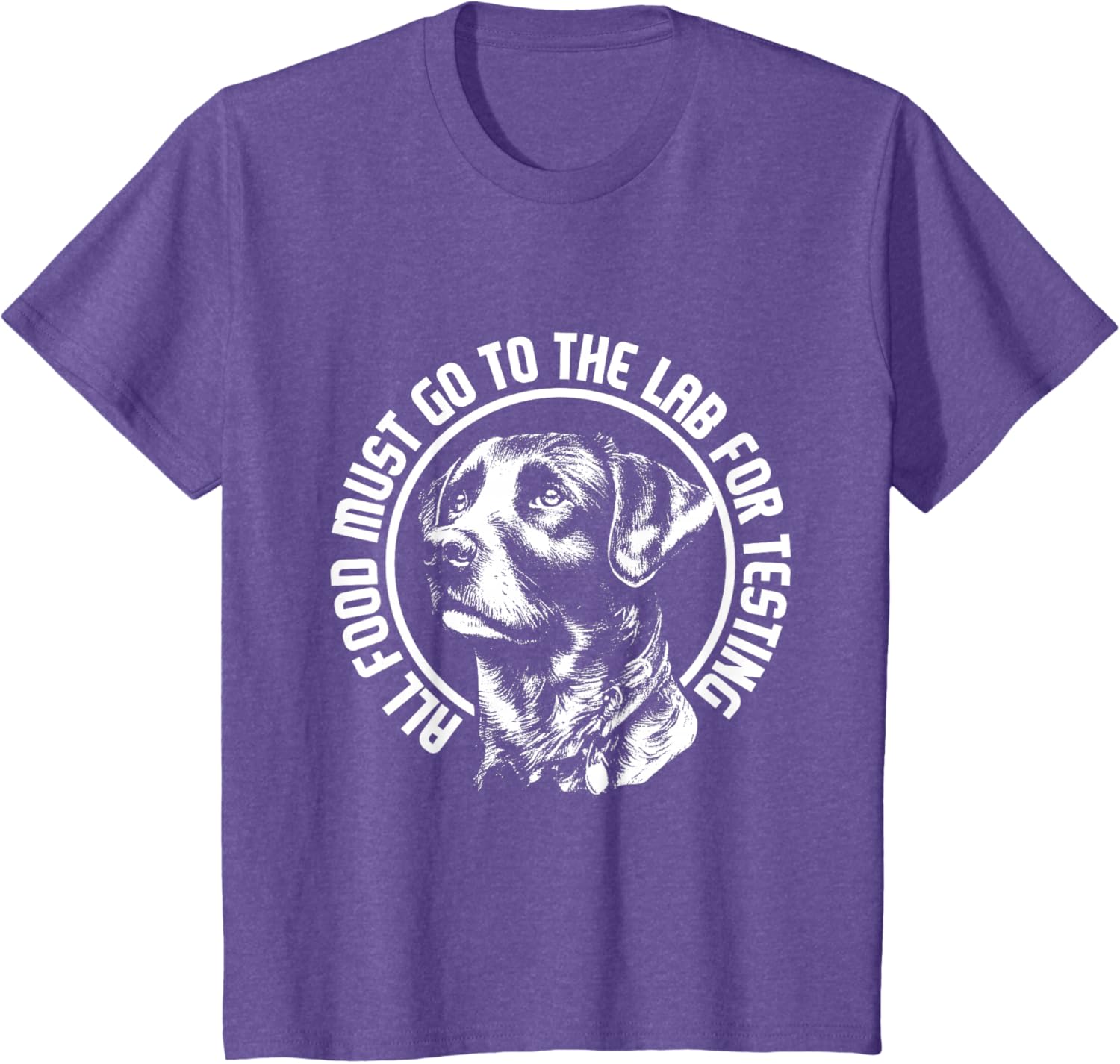 Celebrate Diversity - Labrador Owner Dog Lover Pet Lover T-Shirt