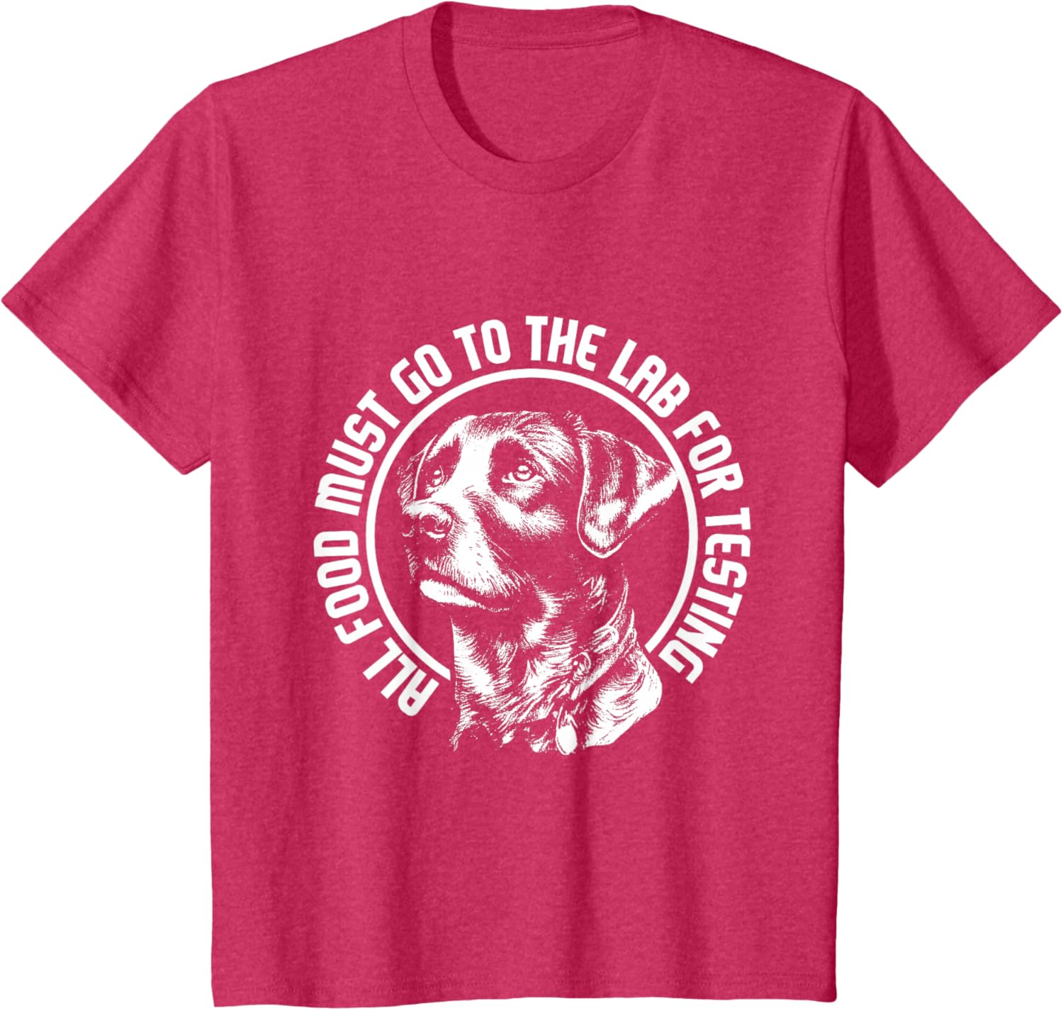 Celebrate Diversity - Labrador Owner Dog Lover Pet Lover T-Shirt