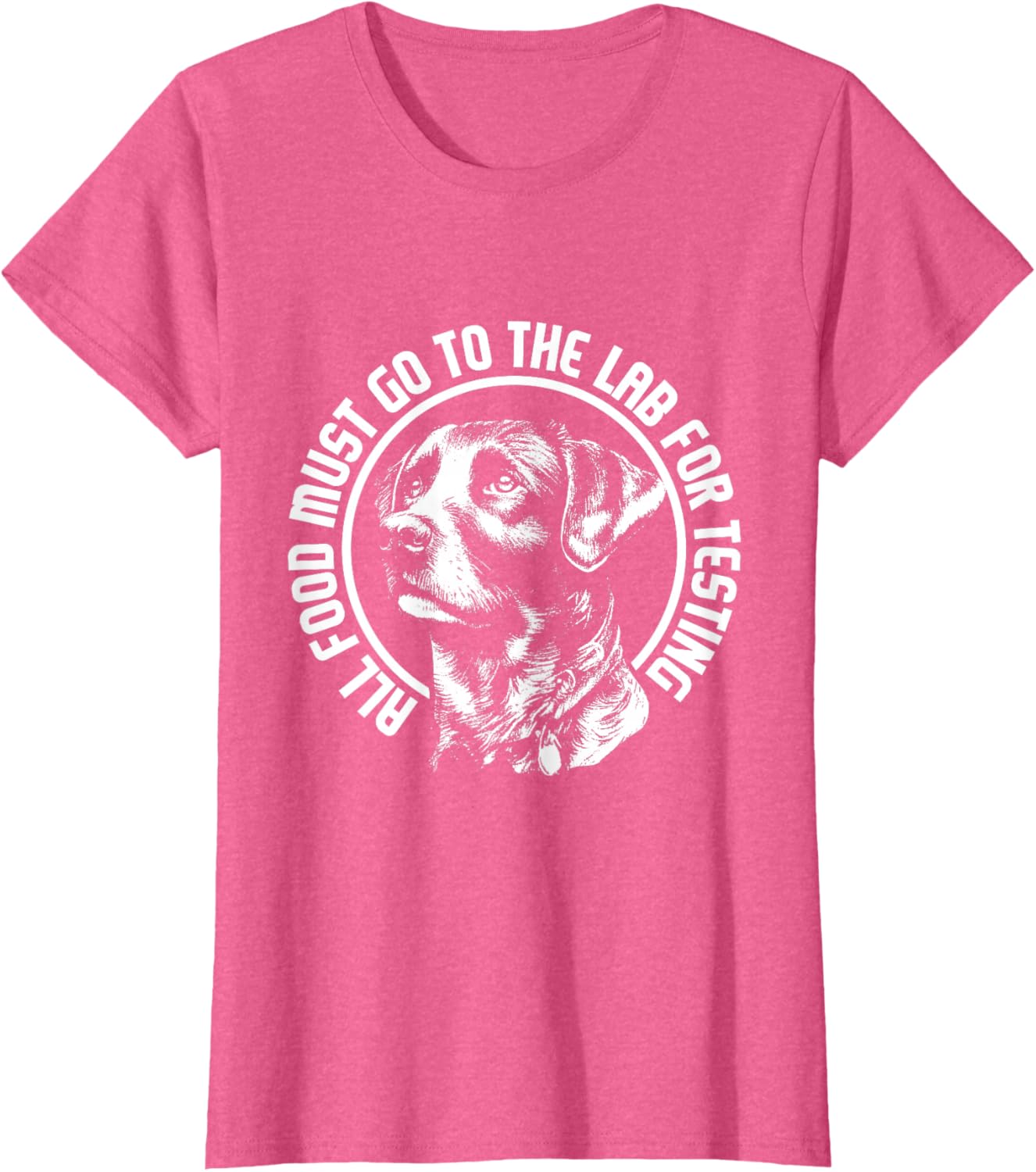 Celebrate Diversity - Labrador Owner Dog Lover Pet Lover T-Shirt