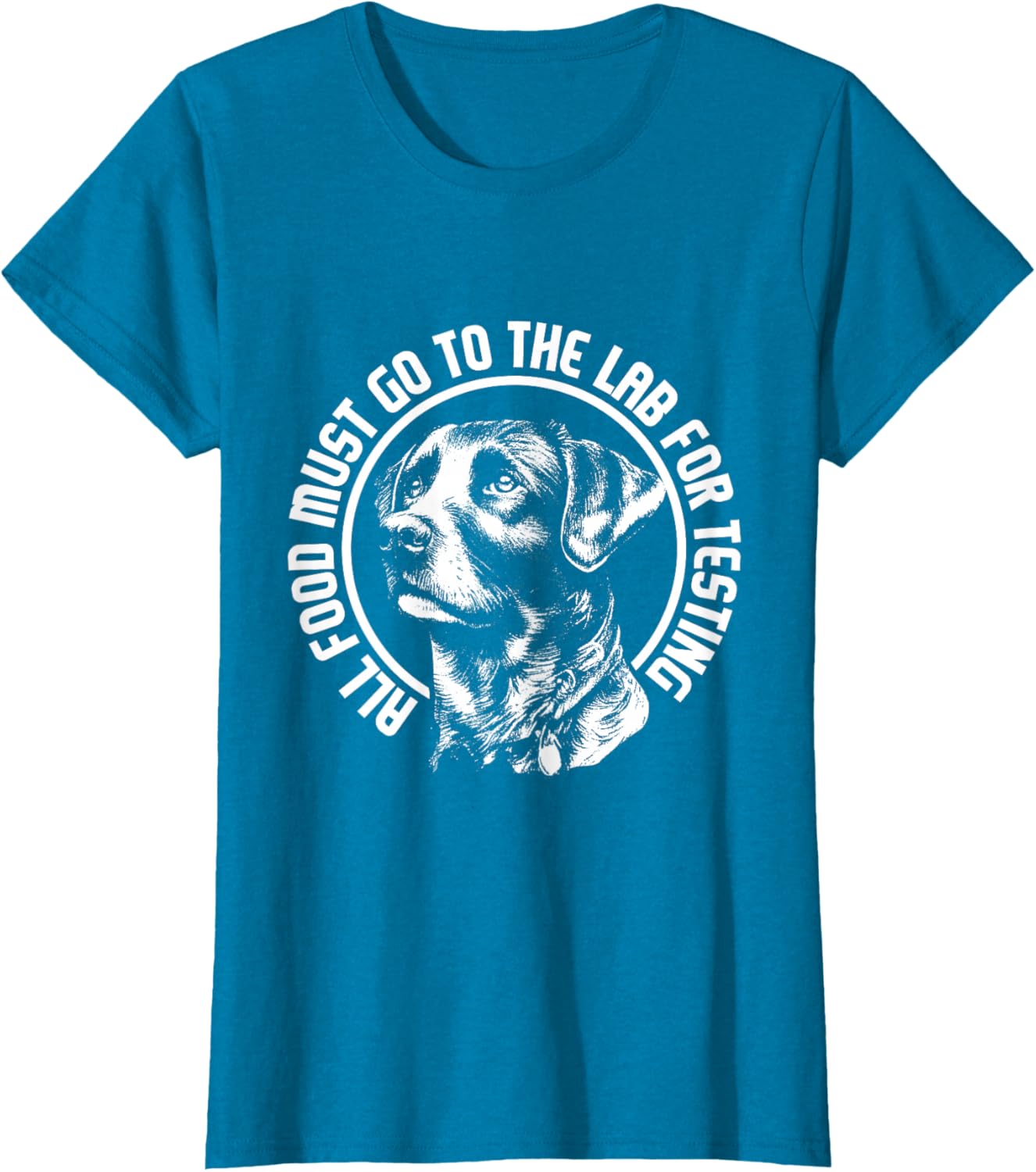 Celebrate Diversity - Labrador Owner Dog Lover Pet Lover T-Shirt
