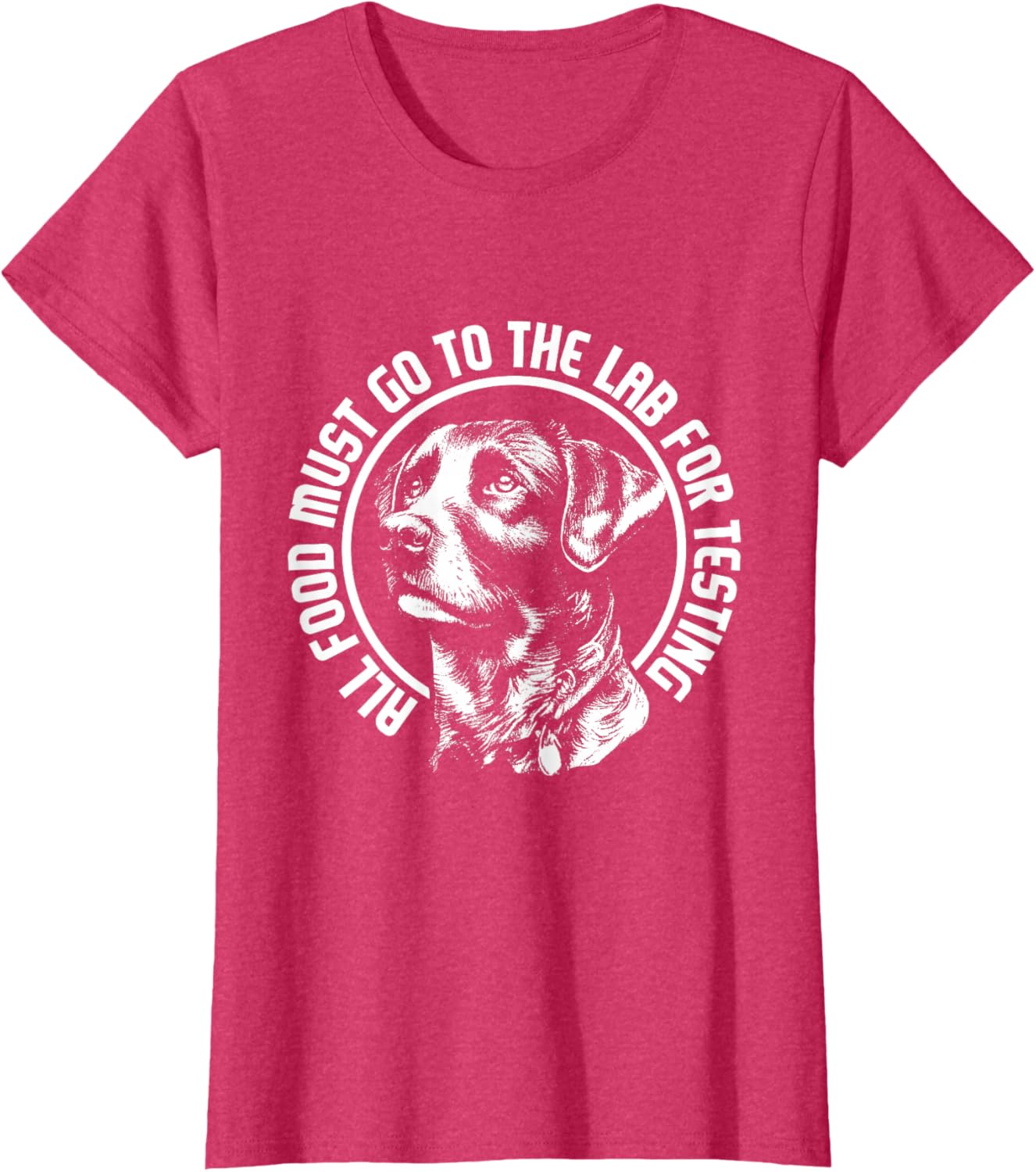 Celebrate Diversity - Labrador Owner Dog Lover Pet Lover T-Shirt