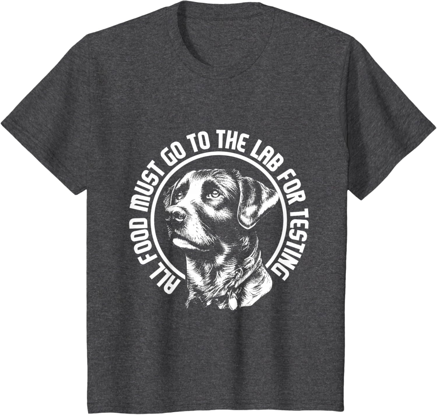 Celebrate Diversity - Labrador Owner Dog Lover Pet Lover T-Shirt