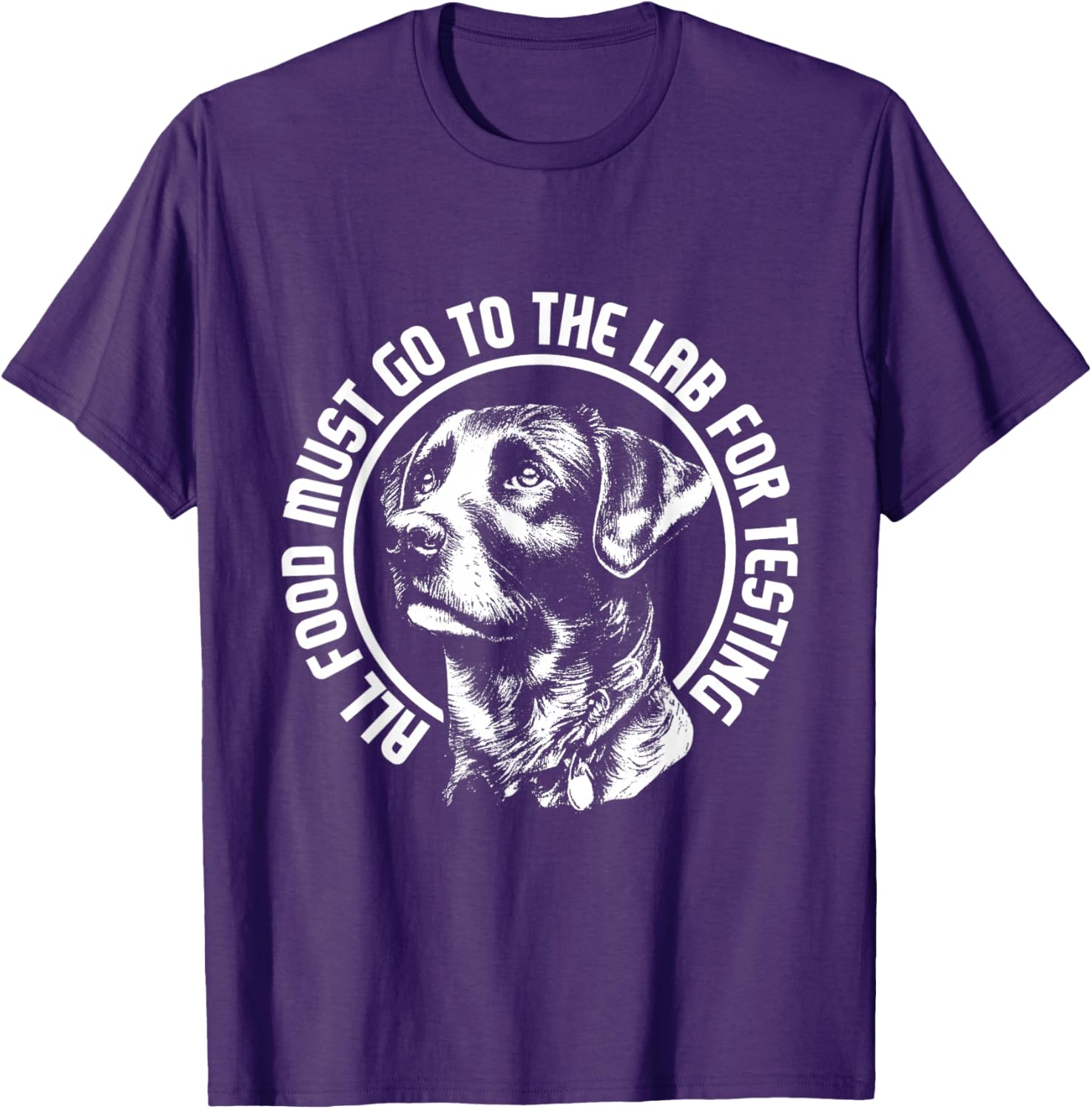 Celebrate Diversity - Labrador Owner Dog Lover Pet Lover T-Shirt