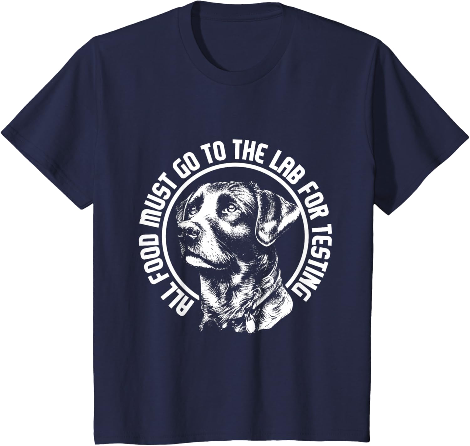 Celebrate Diversity - Labrador Owner Dog Lover Pet Lover T-Shirt