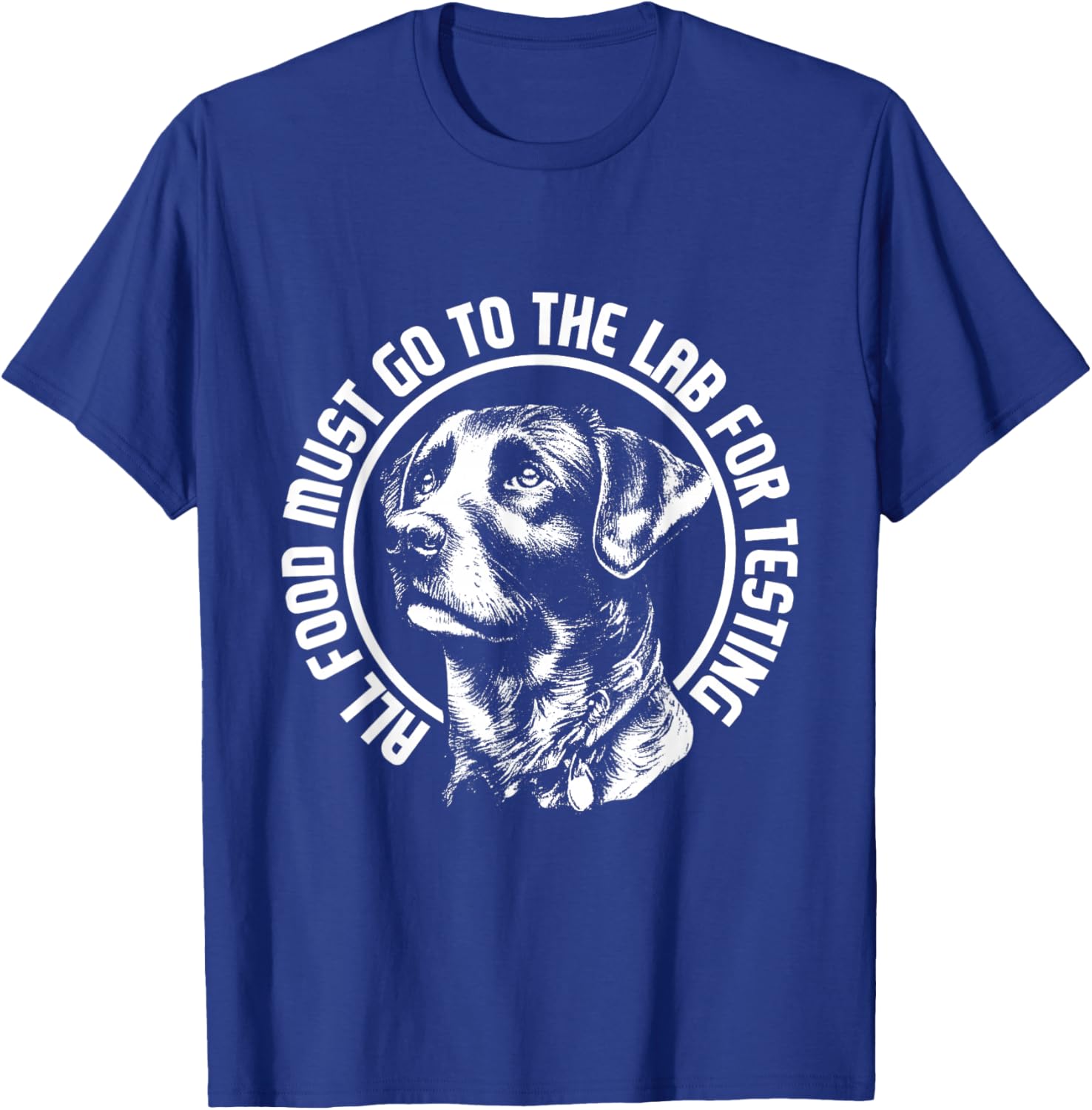 Celebrate Diversity - Labrador Owner Dog Lover Pet Lover T-Shirt