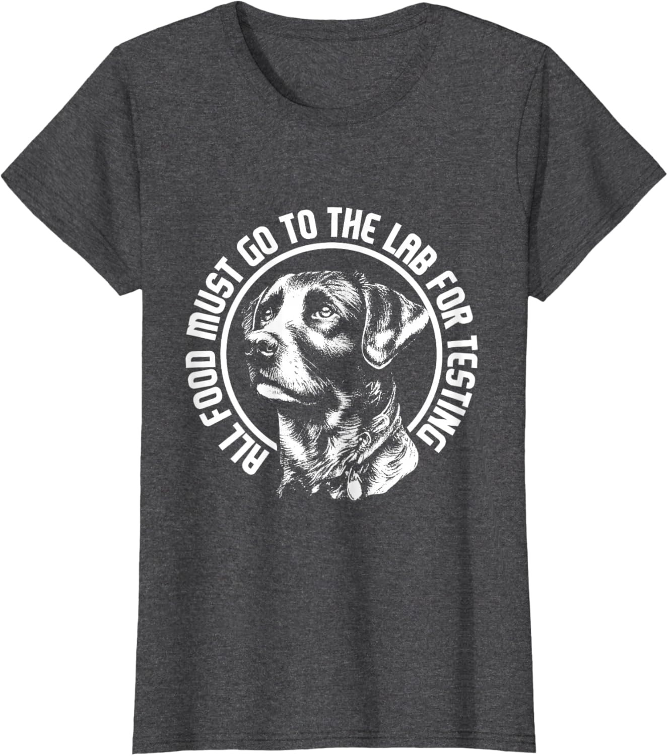 Celebrate Diversity - Labrador Owner Dog Lover Pet Lover T-Shirt