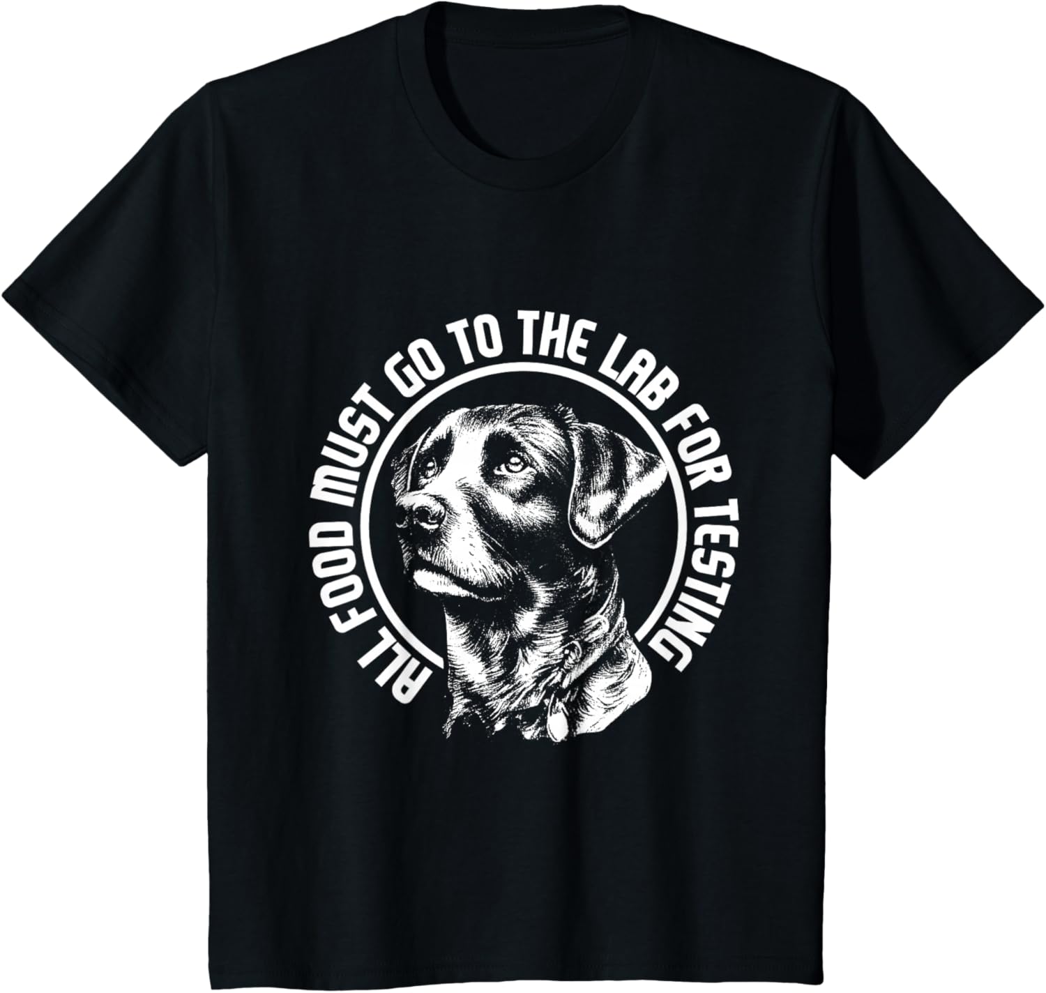 Celebrate Diversity - Labrador Owner Dog Lover Pet Lover T-Shirt