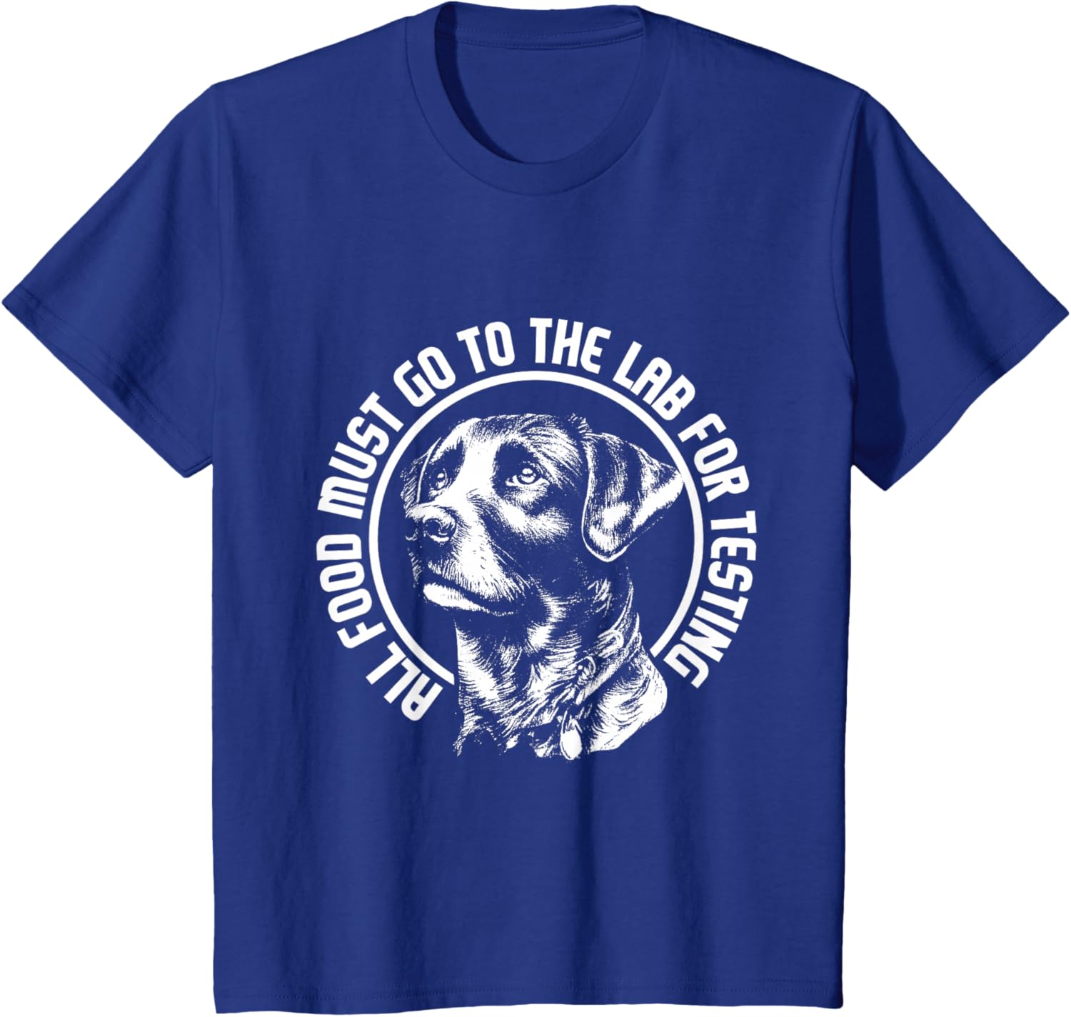Celebrate Diversity - Labrador Owner Dog Lover Pet Lover T-Shirt