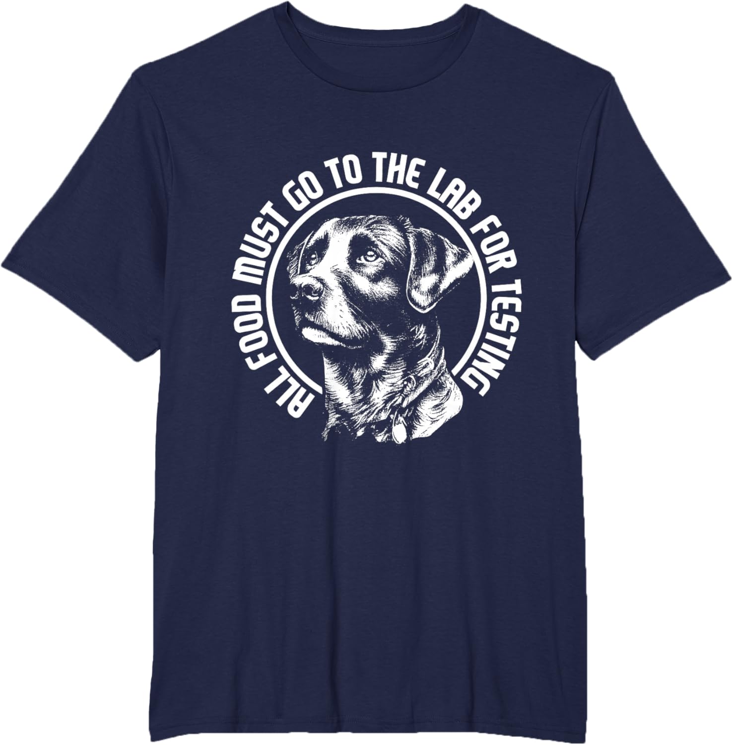Celebrate Diversity - Labrador Owner Dog Lover Pet Lover T-Shirt