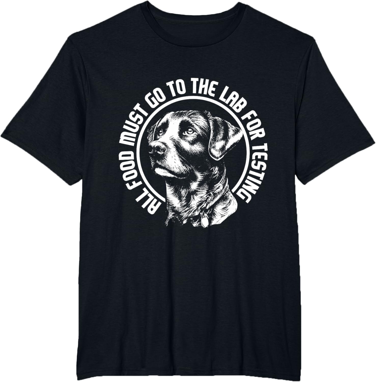 Celebrate Diversity - Labrador Owner Dog Lover Pet Lover T-Shirt