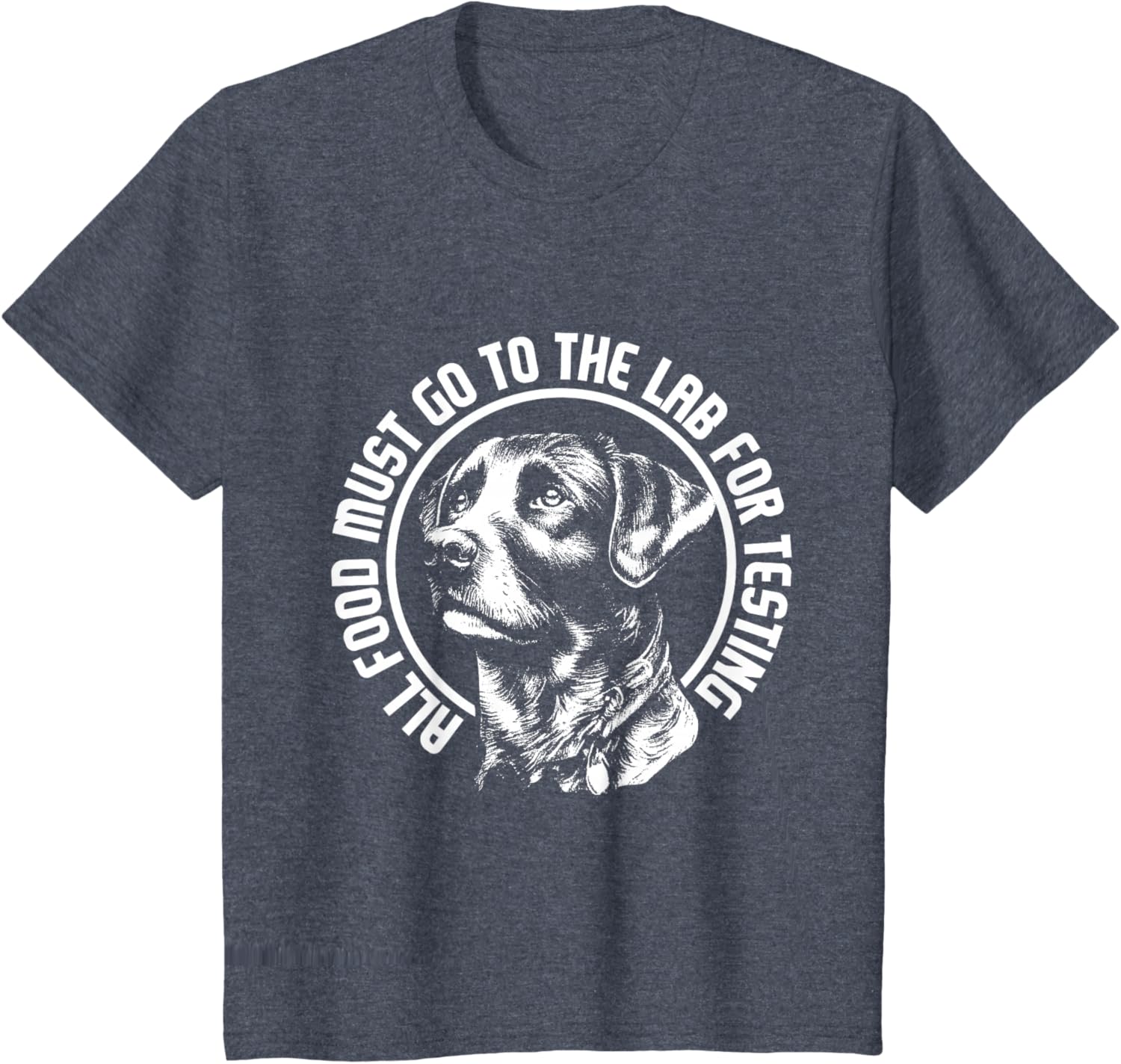 Celebrate Diversity - Labrador Owner Dog Lover Pet Lover T-Shirt