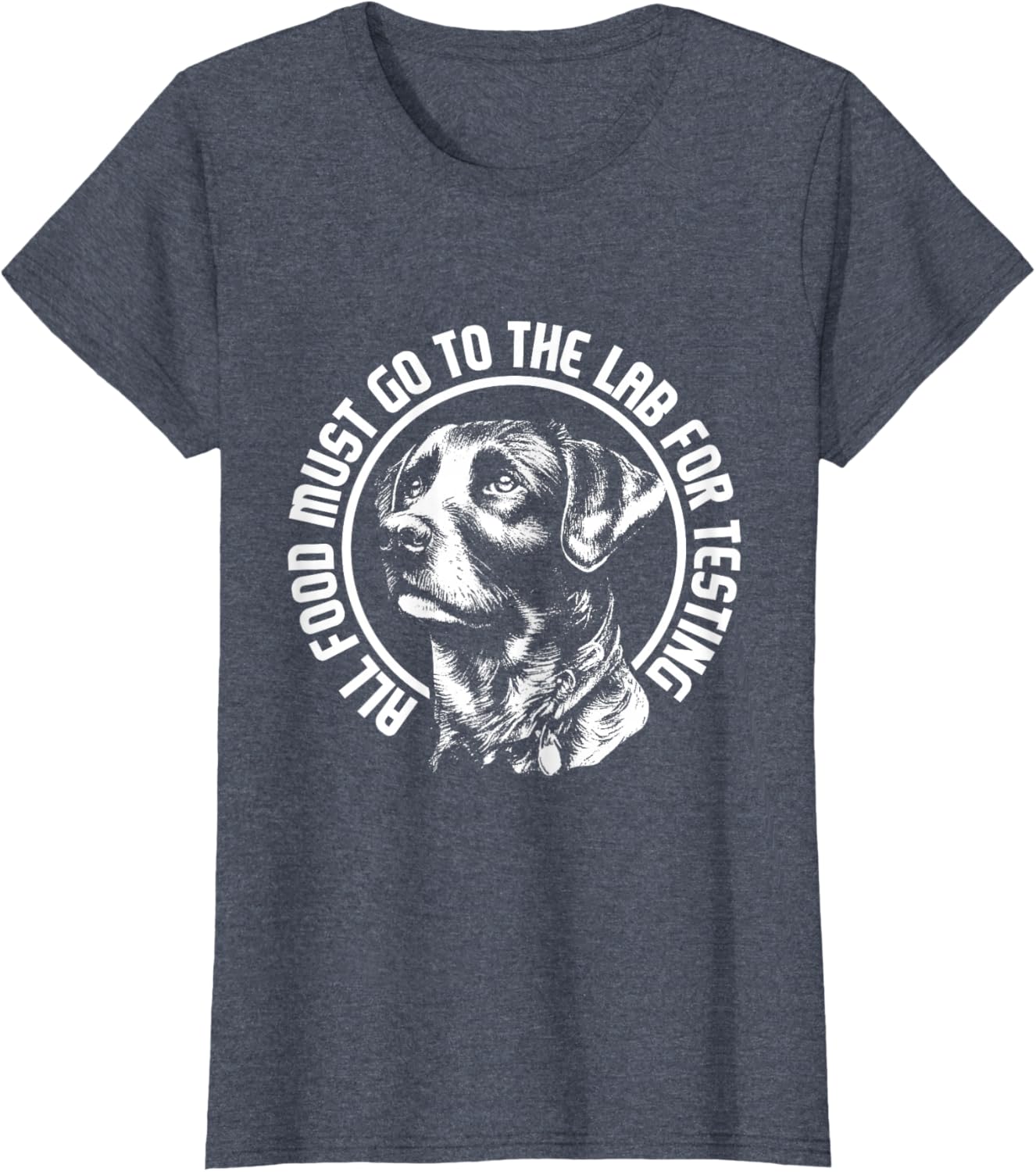 Celebrate Diversity - Labrador Owner Dog Lover Pet Lover T-Shirt