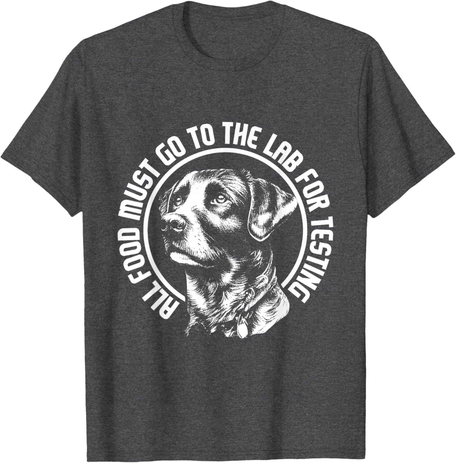 Celebrate Diversity - Labrador Owner Dog Lover Pet Lover T-Shirt