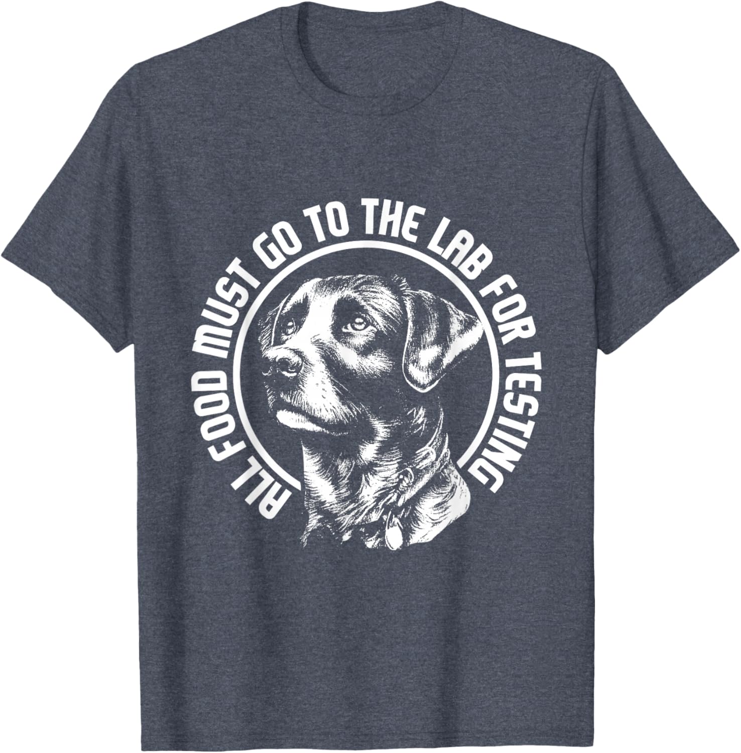 Celebrate Diversity - Labrador Owner Dog Lover Pet Lover T-Shirt
