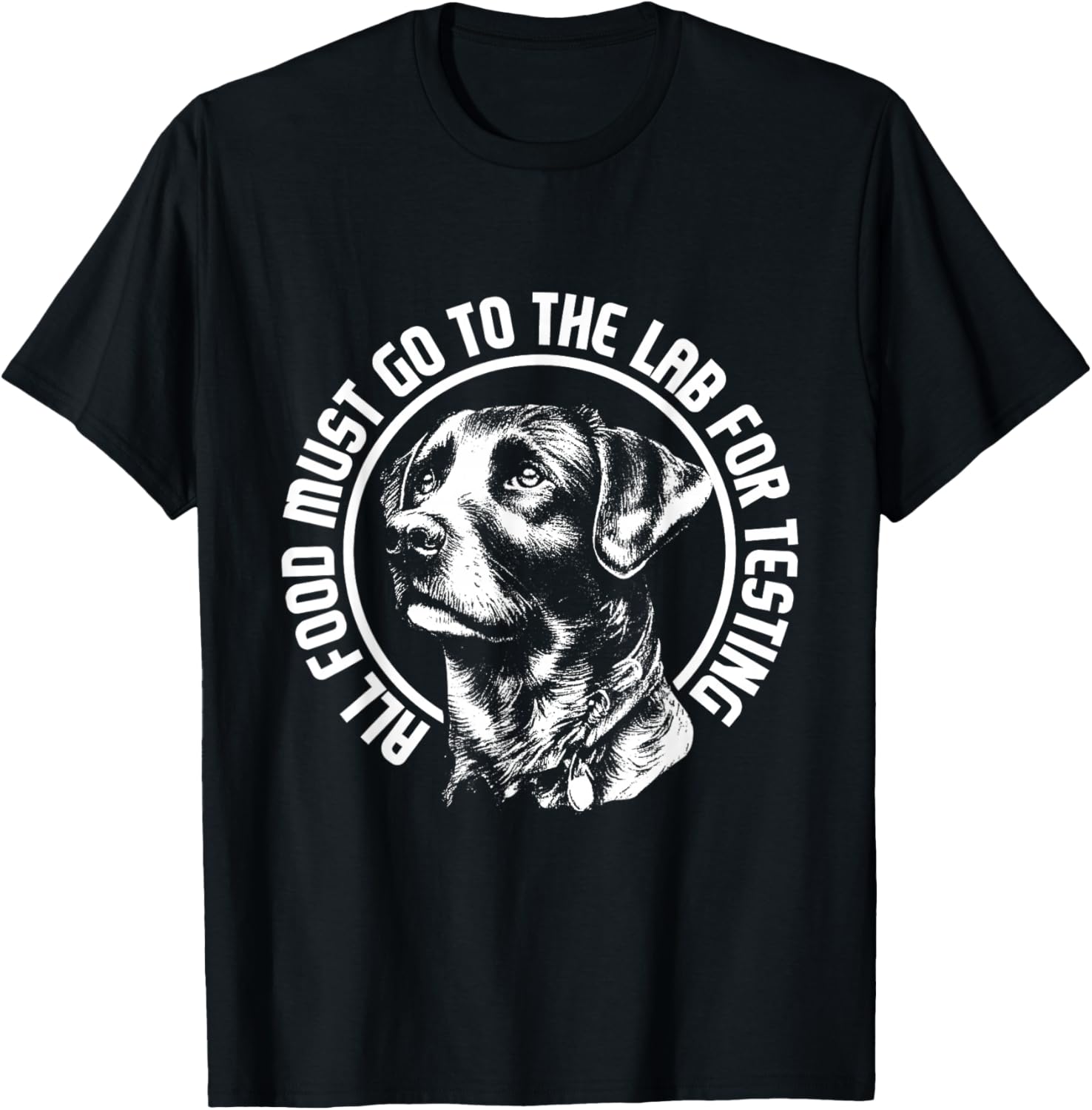 Celebrate Diversity - Labrador Owner Dog Lover Pet Lover T-Shirt