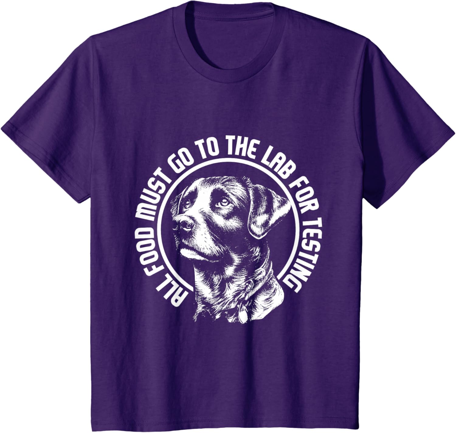 Celebrate Diversity - Labrador Owner Dog Lover Pet Lover T-Shirt
