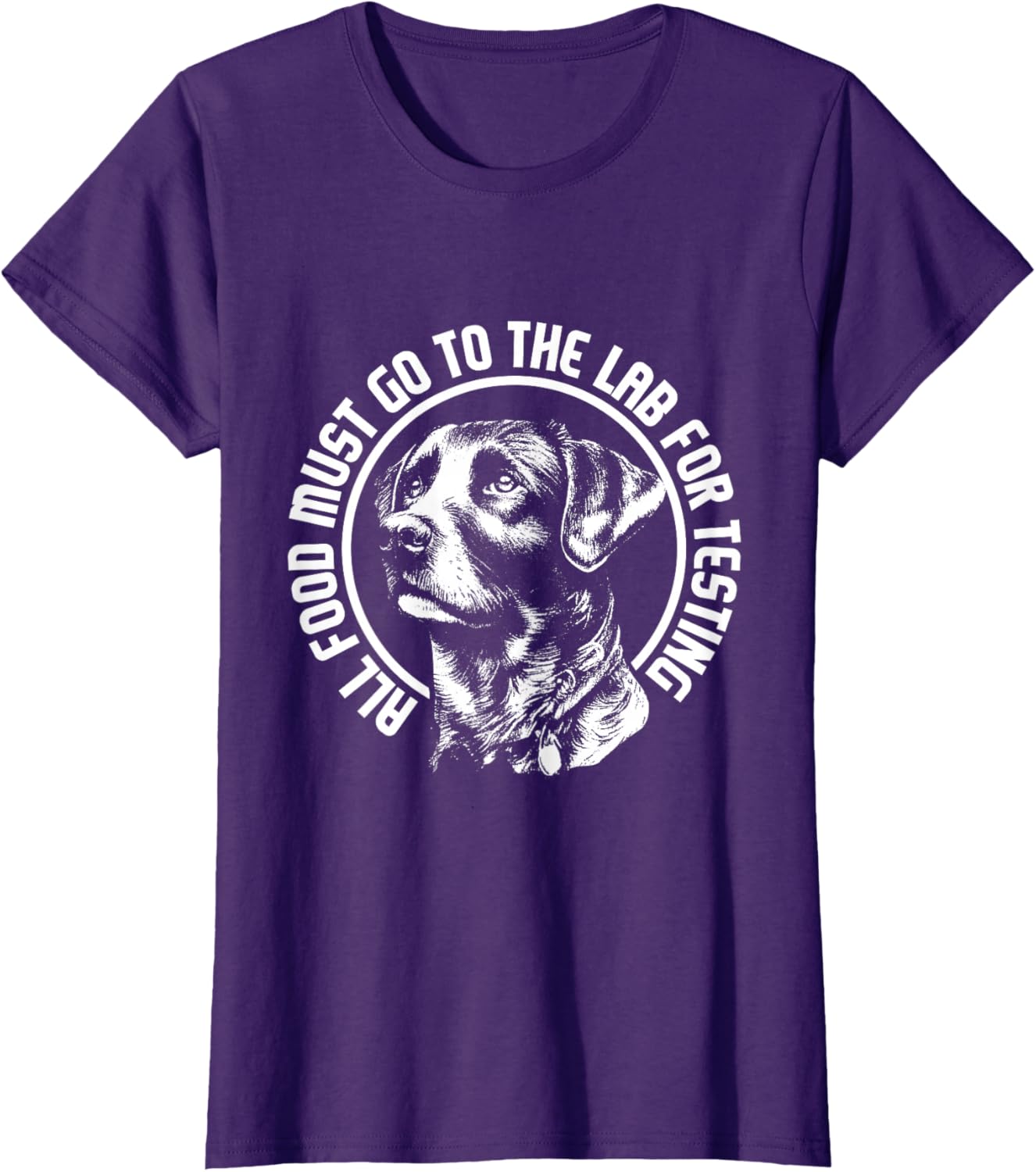 Celebrate Diversity - Labrador Owner Dog Lover Pet Lover T-Shirt