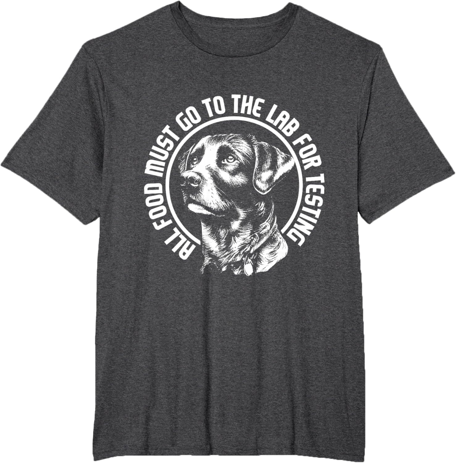 Celebrate Diversity - Labrador Owner Dog Lover Pet Lover T-Shirt