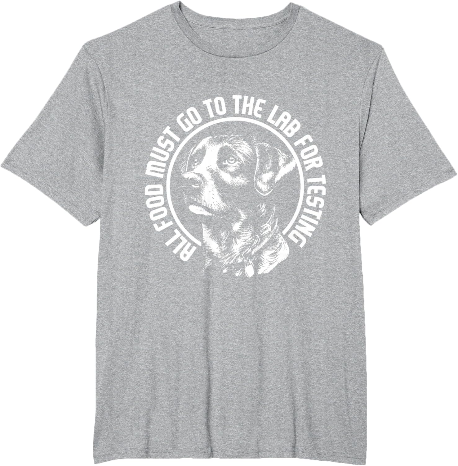 Celebrate Diversity - Labrador Owner Dog Lover Pet Lover T-Shirt