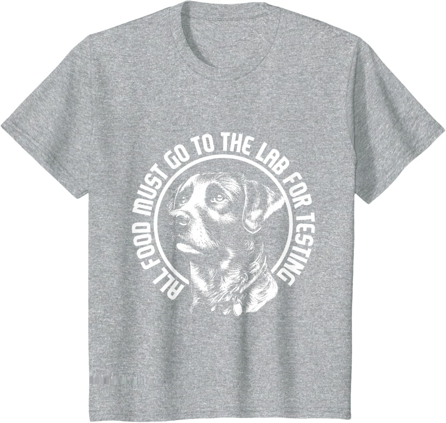 Celebrate Diversity - Labrador Owner Dog Lover Pet Lover T-Shirt