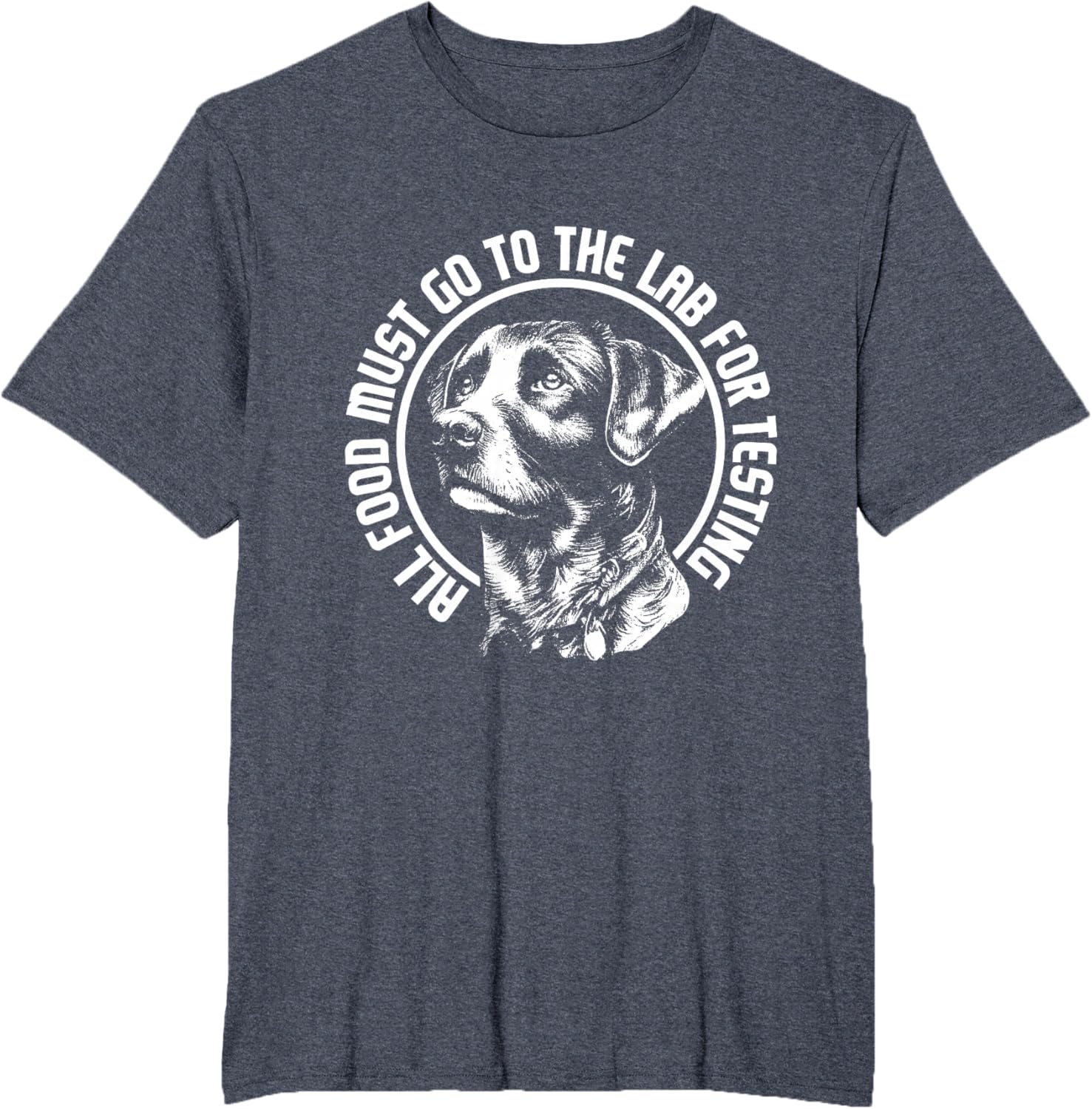 Celebrate Diversity - Labrador Owner Dog Lover Pet Lover T-Shirt
